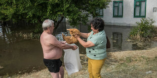 Ein Mann und eine Frau retten eine Katze