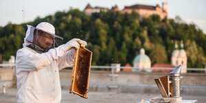 Mann mit Maske und Hut hält Bienenwaben hoch