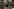 Oleksii, 60, räumt seinen Laden nach dem Hochwasser auf.