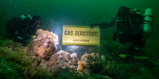 Zwei Taucher halten unter Wasser ein Schild mit der Aufschrift "Gas zerstört" über ein Steinriff in der Nordsee.