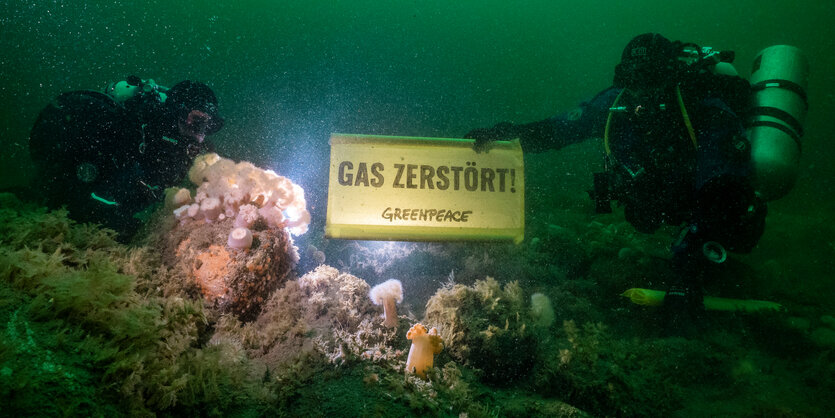 Zwei Taucher halten unter Wasser ein Schild mit der Aufschrift "Gas zerstört" über ein Steinriff in der Nordsee.