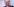 Olaf SCholz vor lavendelfarbenem Hintergrund