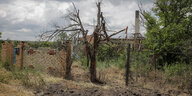 Eine zerstörte Mauer, ein verbrannter Baum und aufgerissene ERde in einem Dorf in der Ukraine