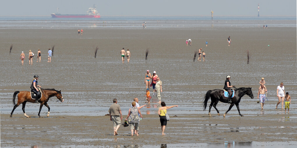 Wattwanderer und Reiter im Wattenmeer vor dem Strand von Duhnen in Cuxhaven.