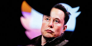 Elon Musk im Twitter Logo