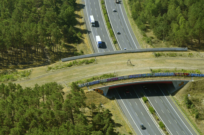 Brückenbauwerk einer als Grünbrücke angelegten Wildbrücke über einer befahrenen Straße