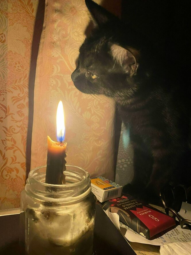 Eine Kerze brennt in einem Glas, davor sitzt eine schwarze Katze