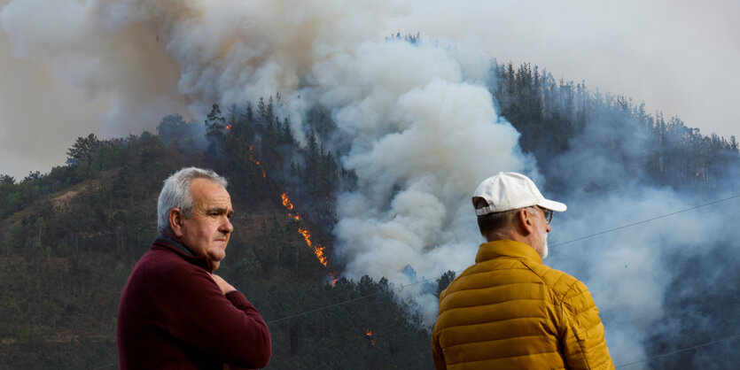 Zwei Männer stehen vor einem Waldstück das verbrennt