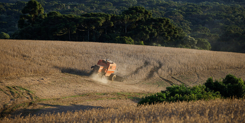 Eine Landmaschine auf einem Feld im Abendlicht