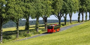 Ein roter bus auf einer Landstraße zwischen feldern und Bäumen