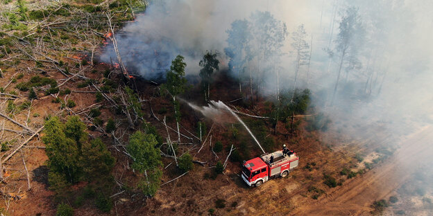 Luftaufnahme von Feuerwehrauto, das brennende Bäume löscht