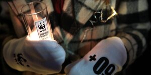 Eine Frau in karrierter Jacke hält eine Kerz mit dem Logo des WWF in den Händen