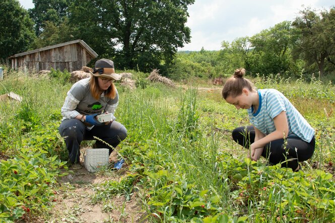 Zwei Frauen bei der Feldarbeit