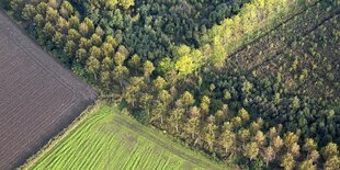 Wälder und Felder aus der Vogelperspektive im Januar 2021