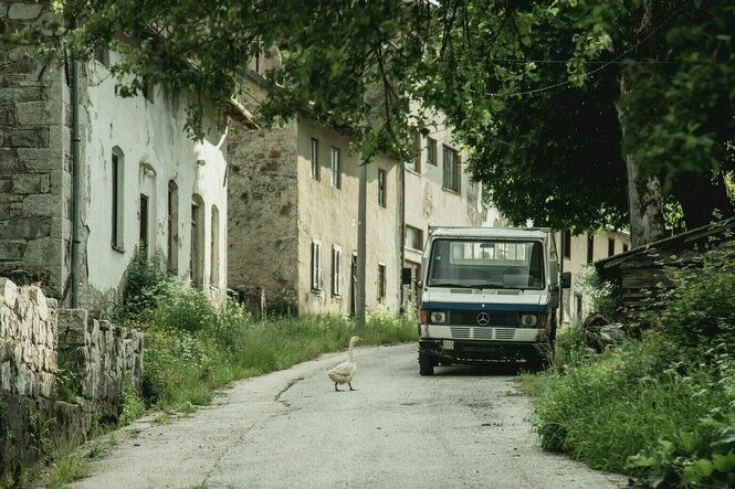 Über eine Straße, gesäumt von alten Häsuern watschelt eine Gans, an der Seite parkt ein Transporter