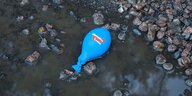 Leerer blauer AfD-Luftballon auf verregnetem Boden