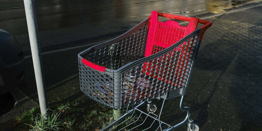 Ein leerer Einkaufswagen am Straßenrand