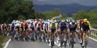 Das Fahrerfeld der Tour de France von vorne fotografiert