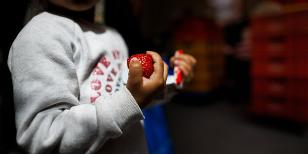 Kind hält eine Erdbeere und Schokolade in den Händen