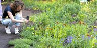 ein:e Besucher:in fotografiert mit ihrem Handy den durch den "Pollinator Pathmaker“ designten Garten