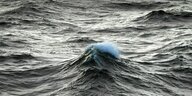 Einzelne Welle mit Gischt auf hoher See