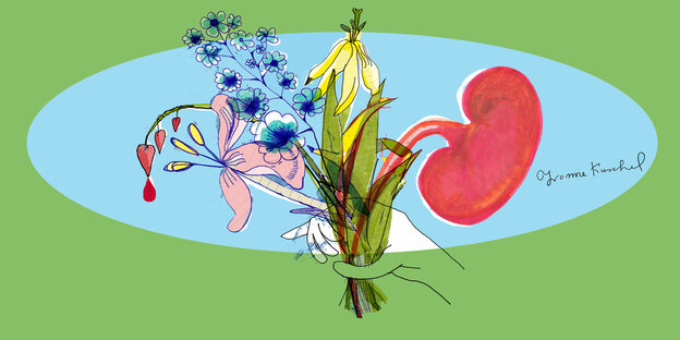 Illustration: Ein Blumenstrauß, aus dem eine nierenförmige Blume herausragt.