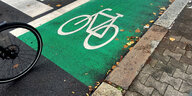 Ein Farrad auf einem grünen Radweg.
