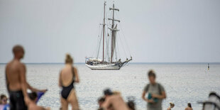 Badegäse am Ostseestrand von Warnemünde, im Hintergrund ein Segelschiff auf dem Wasser