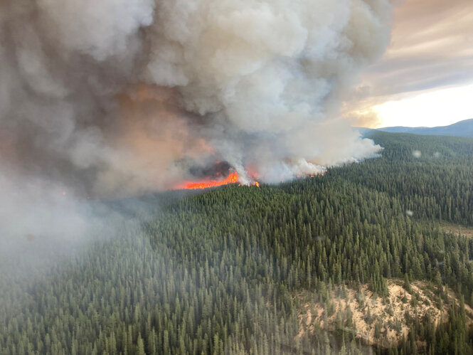 Blick von oben: Rauchsäule und Feuer frisst sich in einen Nadelwald