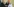 Tunesiens Präsident gibt Ursula von der Leyen, Mark Rutte und Giogia Meloni gleichzeitig die Hände
