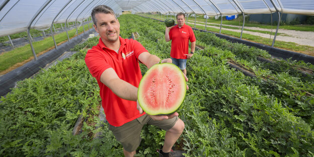 Bauer Paul Schofer steht auf einem Feld und hält eine halbierte Wassermelone in den Händen. Im Hintergrund steht sein Kollegen Christian Hansen. Beide tragen ein rotes T-Shirt.