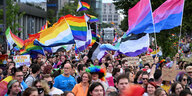 Viele Fahnen, darunter die Regenbogenflagge, und viele Menschen auf einer Straße