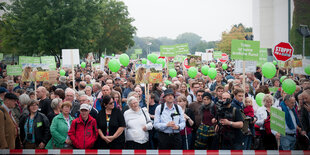 DemonstrantInnen des Marschs für das Leben halten Schilder und Ballons in die Luft, 2014