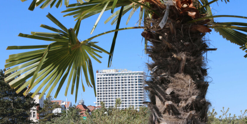 Hotel mit Palme im Vordergrund.