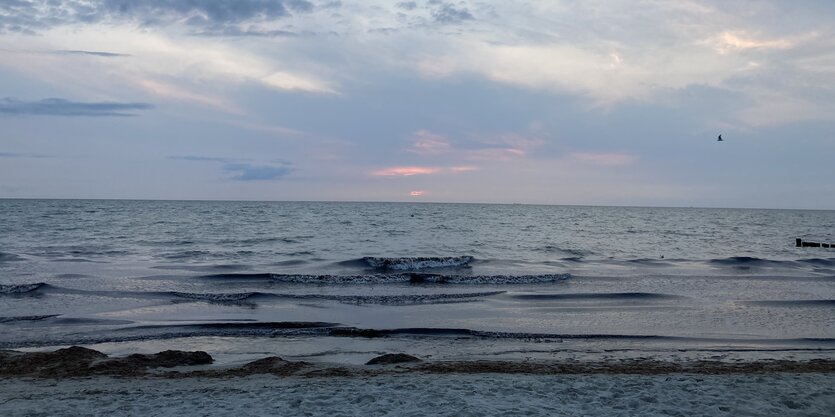 Blick auf die Ostsee