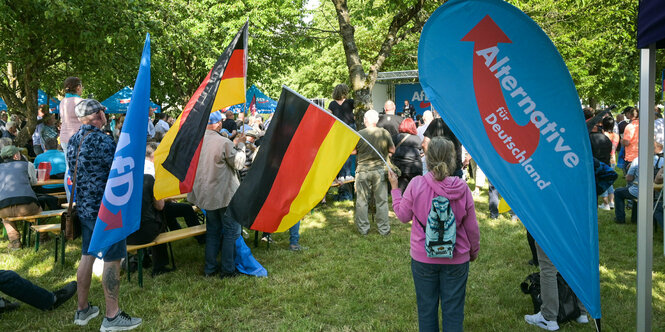 AfD-Anhänger:innen bei einer Kundgebung mit Flaggen.