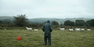 Der Schafhirte Wilf Davies steht mit dem Rücken zur Kamera auf einer Weise und blickt in Richtung Horizont. Vor ihm grasen Schafe. Er trägt eine Mütze und hat die Hände in den Jackentaschen.