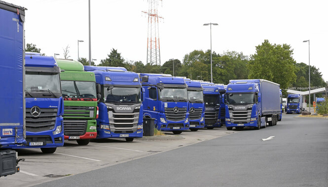 Blaue Lkw stehen auf einem Rastplatz. Dazwischen parkt ein grüner Lkw