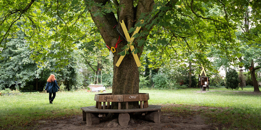 Baum mit Protest-„X“ vor anderen belaubten Bäumen