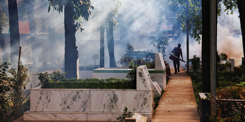 Ein Mitarbeiter eines städtischen Unternehmens in Dhaka versucht mit Rauch die Mücken, die Dengue-Infektionen verbreiten, zu vertreiben