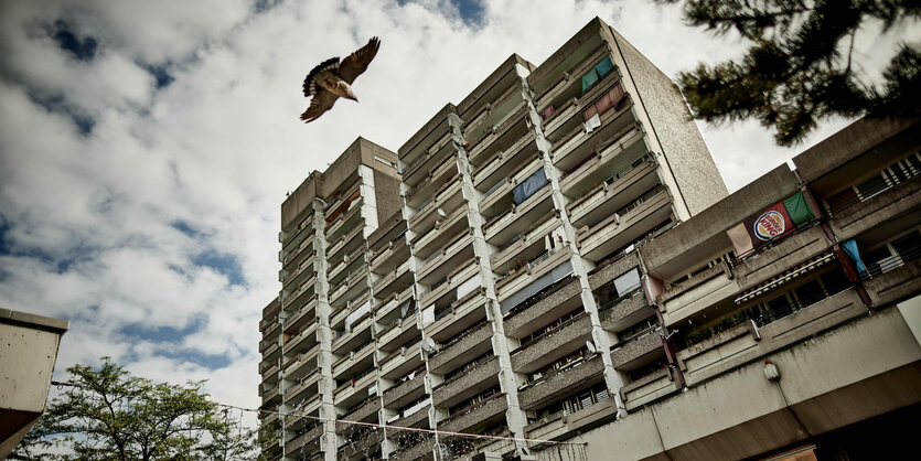 Ein Wohnblock in Grautönen, groß. Am Himmel fliegt ein Vogel.