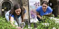 Zwei NABU-Insektenexpertinnen zählen die Insekten im Pollinator Pathmaker vor dem Naturkundemuseum