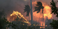 Ein brennendes hölzernes Gebäude vor rauchschwarzem Himmel, davor windgepeitschte Palmen