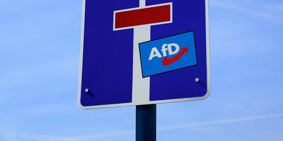 Mögliches Verbot der Partei: Es würde die AfD nur stärken 