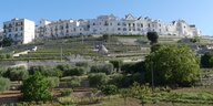 Terrassen mit einem Trulli , eine mediterraner Ort mit weißen Häusern