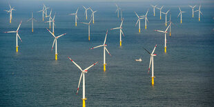 Viele Windräder im Offshore-Park