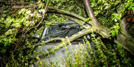 Ein Auto ist begraben von einem umgestürzten Baum