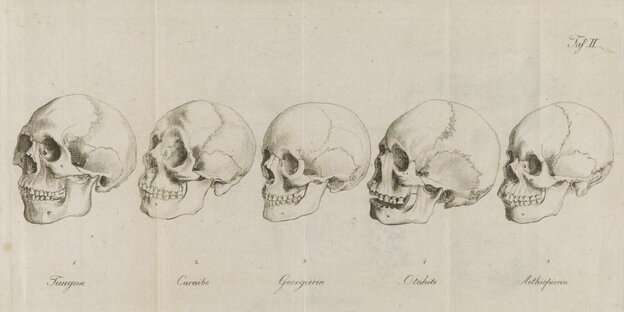 Bilder unterschiedlicher Schädel aus Johann Blumenbachs Werk "Über die natürlichen Verschiedenheiten im Menschengeschlechte", auf dem die rassistische Anthropologie fußte
