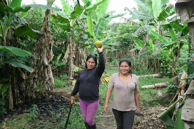 Zwei Frauen gehen zwischen Pflanzen, eine trägt eine Machete in der Hand und hält eine Papaya in die Höhe