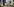 Lisa Paus bei einem Besuch in einer Kita.jpeg